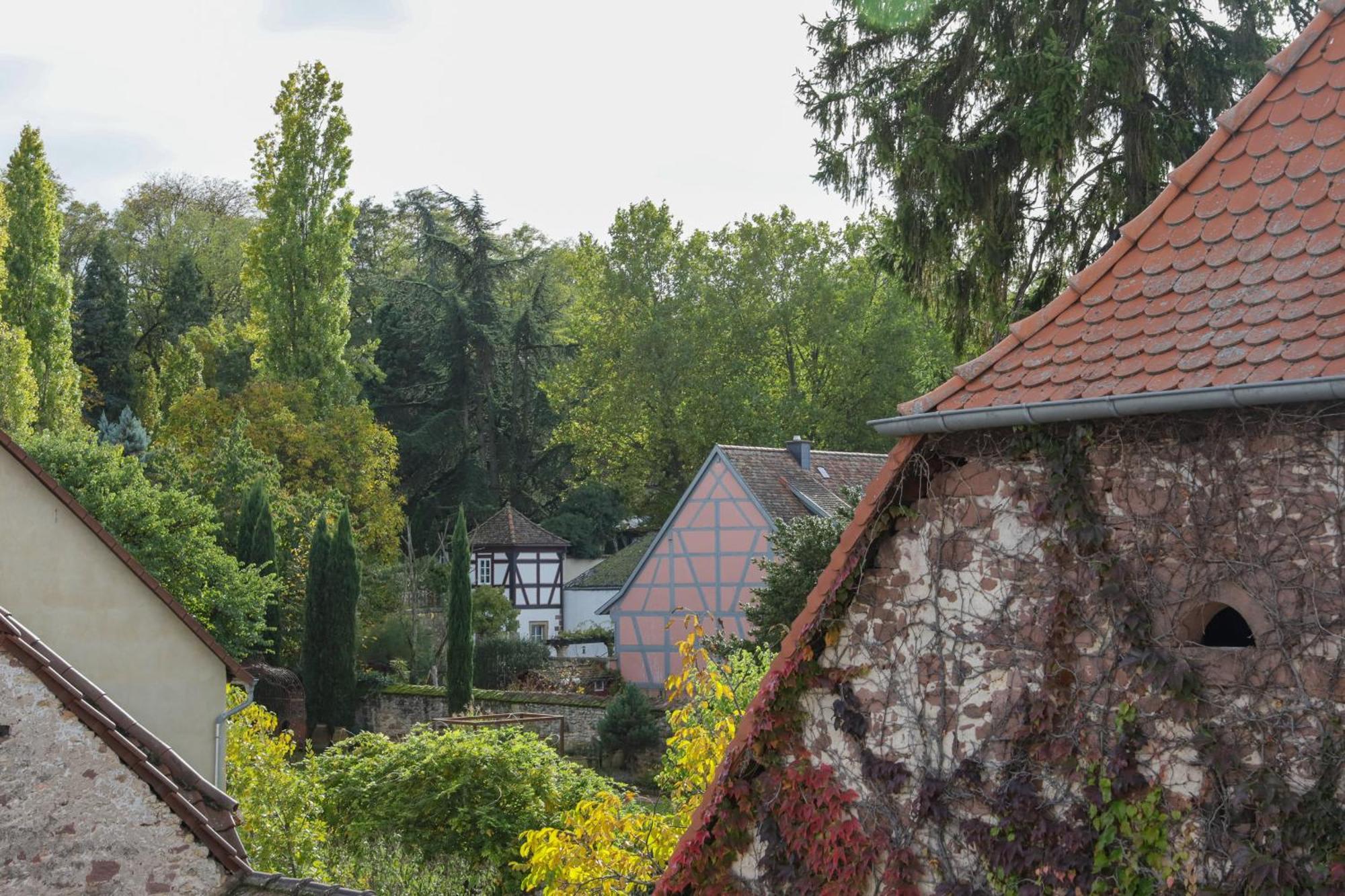 Boutique-Hotel Im Sternenhof グロースカールバッハ エクステリア 写真